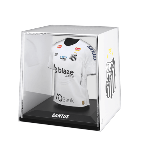 Santos FC 2024