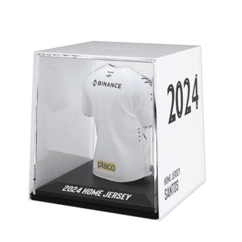 Santos FC 2024