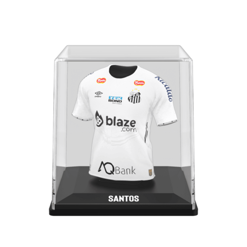 Santos FC 2024