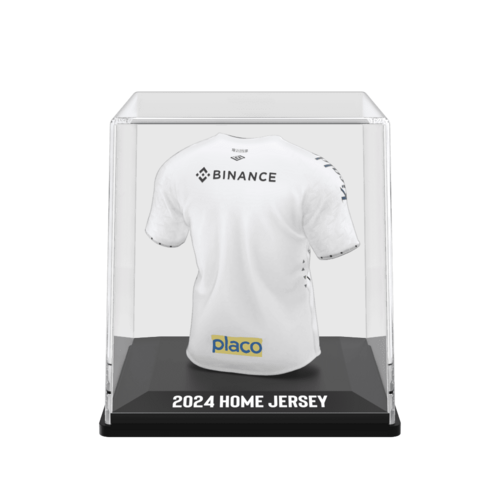 Santos FC 2024