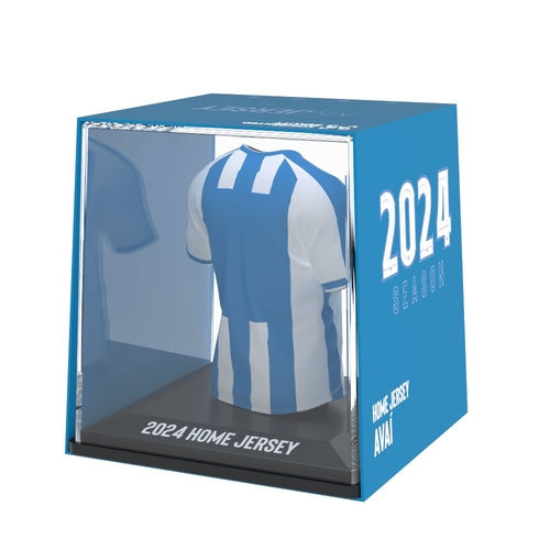 Avaí FC 2024
