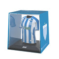 Avaí FC 2024