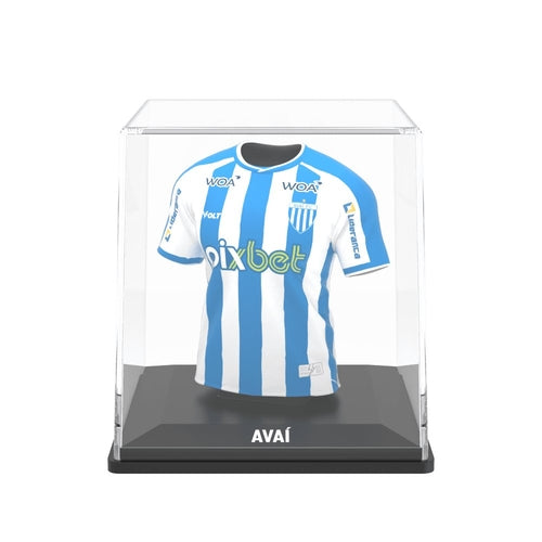 Avaí FC 2024