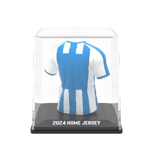 Avaí FC 2024