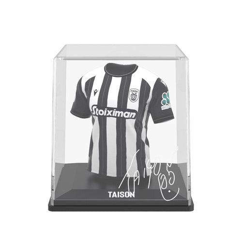 Taison